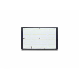 LED QUANTUM Q120W - PIRANHA