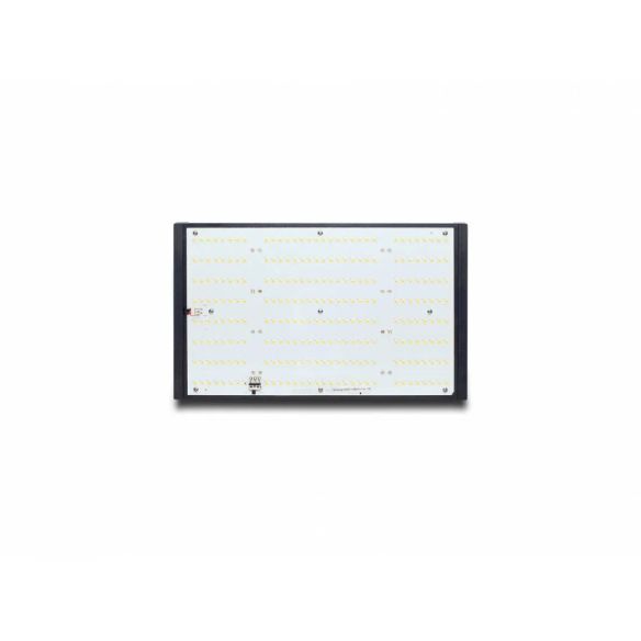 LED QUANTUM Q120W - PIRANHA