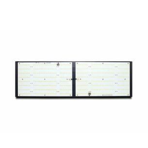 LED QUANTUM Q240W - PIRANHA