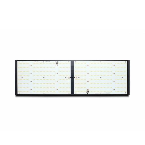 LED QUANTUM Q240W - PIRANHA