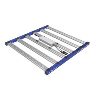 QUANTUM LITE 600W-DELIGHT
