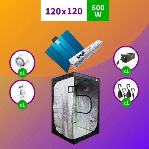 PACK SODIO 120X120 BÁSICO HPS - 600W