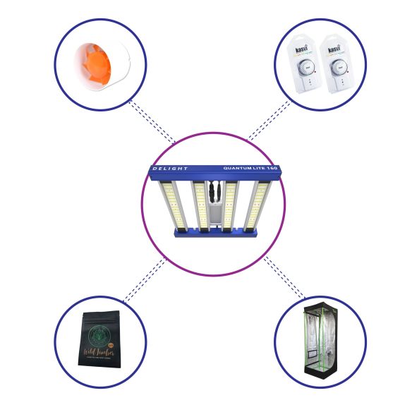 KIT STARTER QUANTUM LITE DELIGHT 60- 160W FÁCIL ARMADO