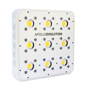 APOLLO EVOLUTION 9...