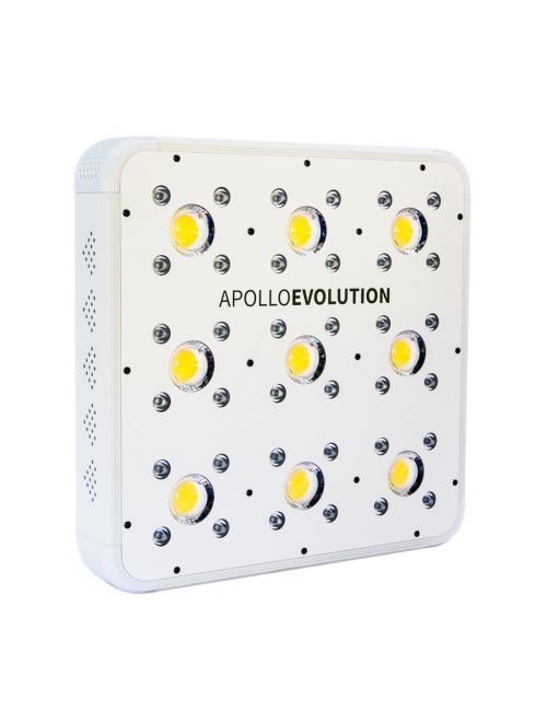 APOLLO EVOLUTION 9 280W-DELIGHT