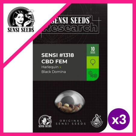 SENSI N1318 (HARLEQUIN X BLACK DOMINA) FEM X3-SENSI SEEDS