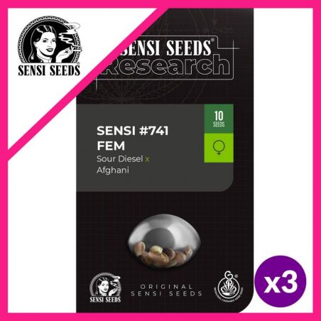 Sensi Seeds Sensi N°741 Fem (Sour Diesel X Afghani) X3