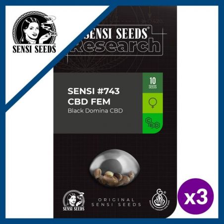 SENSI N743 FEM (BLACK DOMINA CBD) FEM X3-SENSI SEEDS