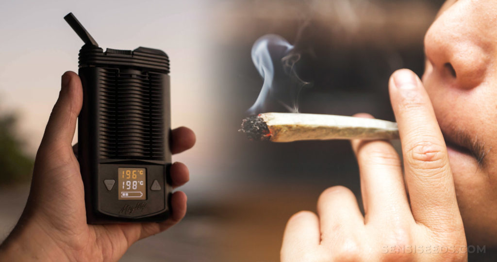 Fumar marihuana en pipa: Guía completa