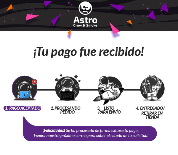 Pago aceptado