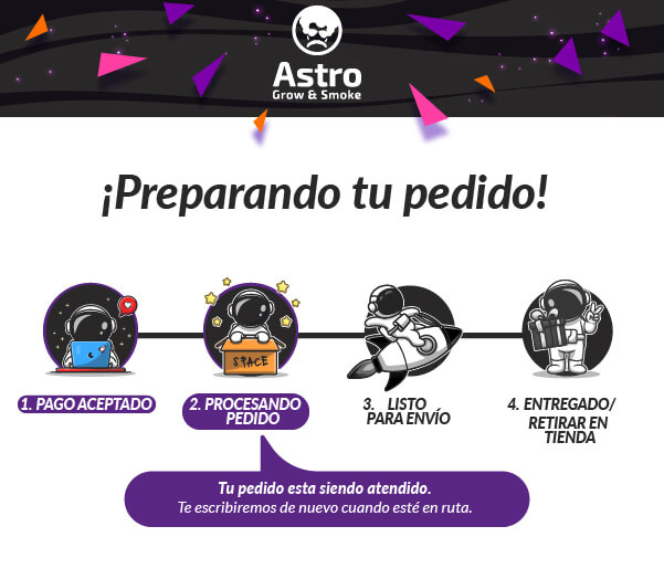 procesando pedido