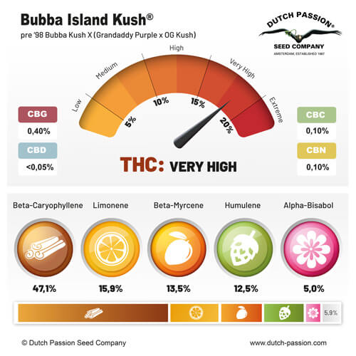 Cannabinoides y terpenos Bubba Island Kush