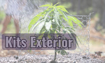 Pack de Cultivo exterior